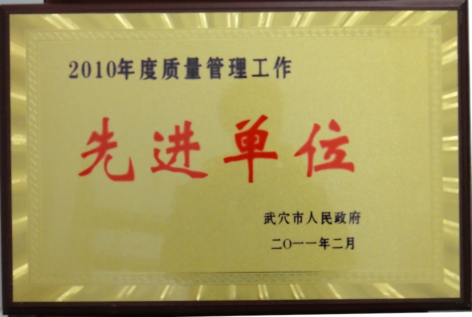 2009年度污染控制先進(jìn)單位（黃岡亞東）