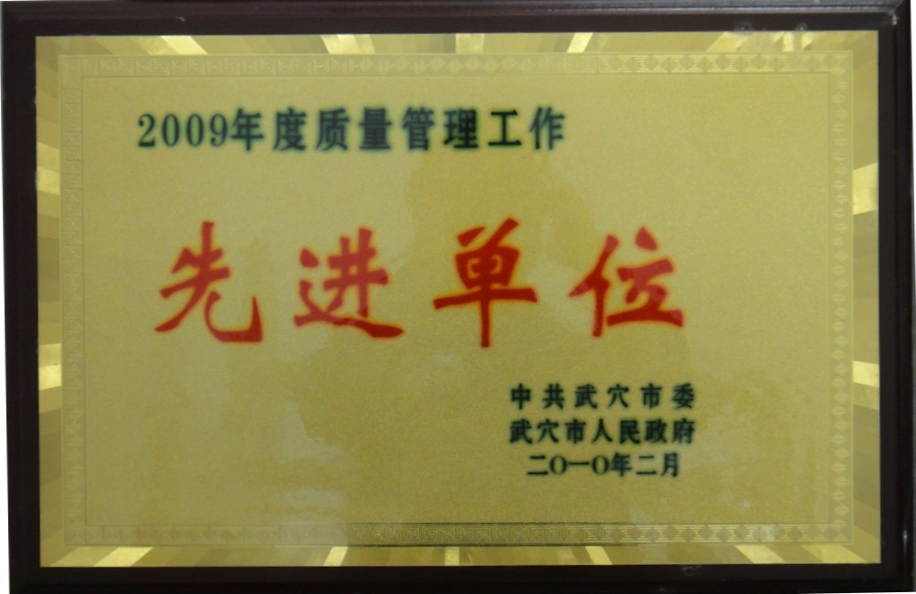 2009年度質(zhì)量管理工作先進(jìn)單位（黃岡亞東）