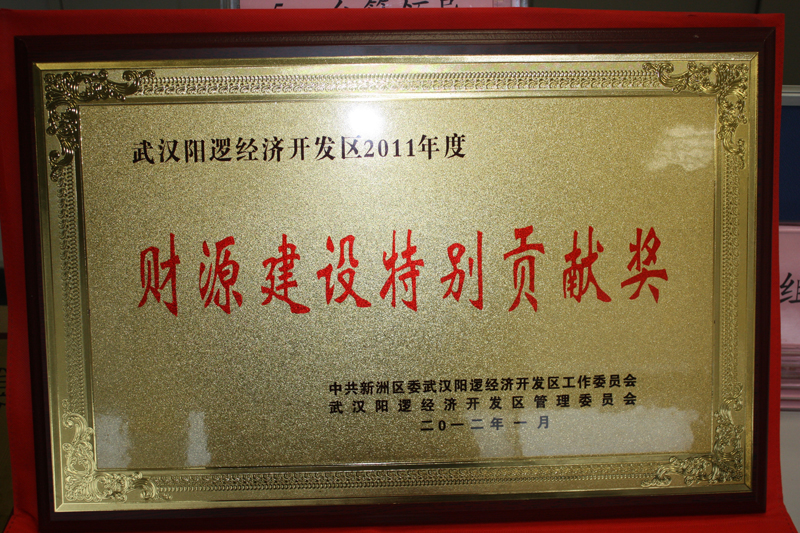 2011年度財源建設特別貢獻獎（湖北亞東）