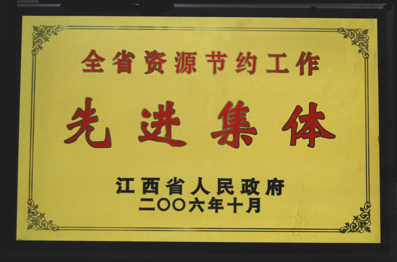 全省資源節(jié)約工作先進(jìn)集體（江西亞東）