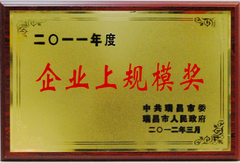 企業(yè)上規(guī)模獎(jiǎng)（江西亞東）