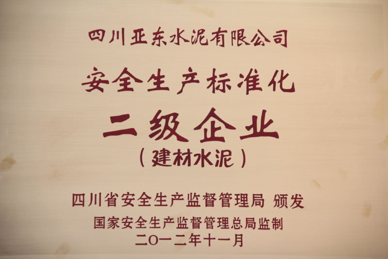安全生產(chǎn)標準化二級企業(yè)（四川亞東）