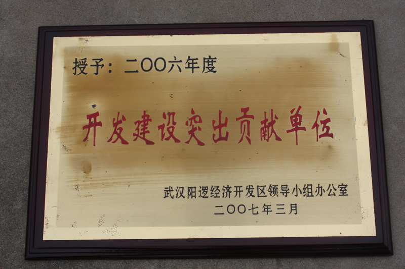 開發(fā)建設(shè)突出貢獻(xiàn)單位（湖北亞東）