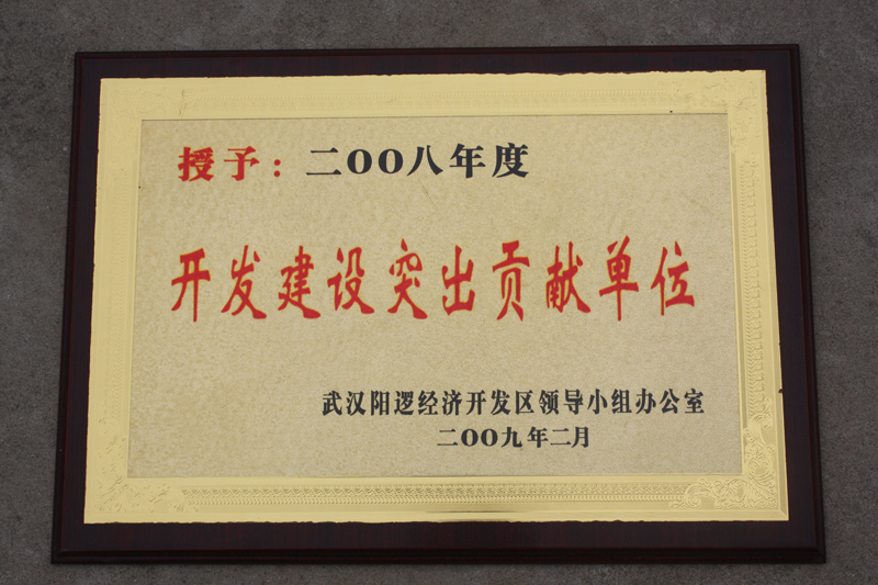 開發(fā)建設(shè)突出貢獻(xiàn)單位（湖北亞東）