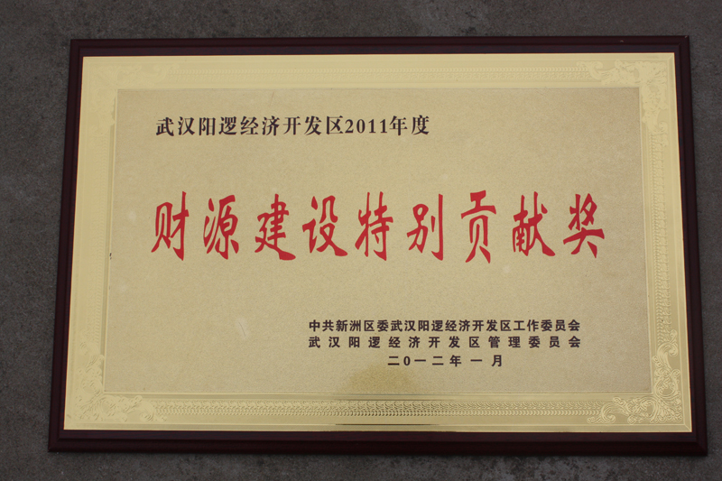 財(cái)源建設(shè)特別貢獻(xiàn)單位（湖北亞東）
