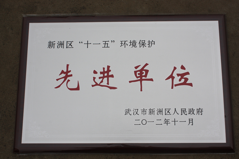 “十一五”環(huán)境保護(hù)先進(jìn)單位（湖北亞東）
