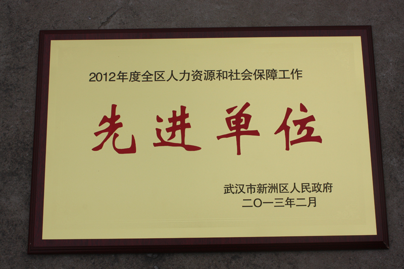 人力資源和社會保障先進(jìn)單位（湖北亞東）