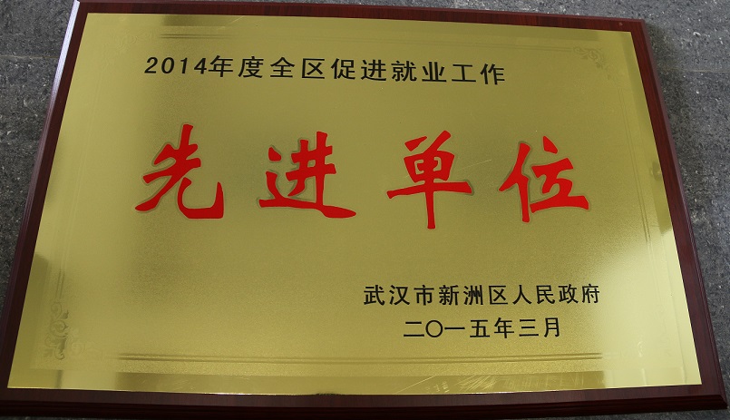 2014年度全區(qū)促進(jìn)就業(yè)工作先進(jìn)單位（湖北亞?wèn)|）