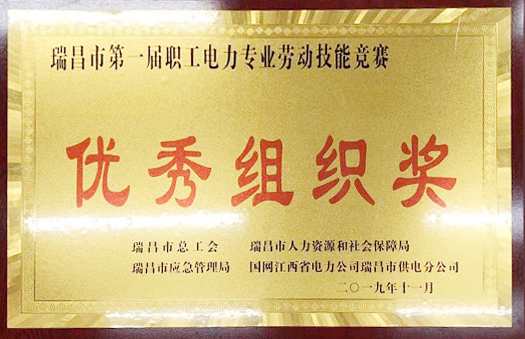 職工電力專業(yè)勞動技能競賽“優(yōu)秀組織獎”（江西亞東）