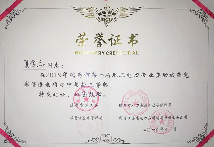 電力專業(yè)勞動技能競賽“個人三等獎”（江西亞東）