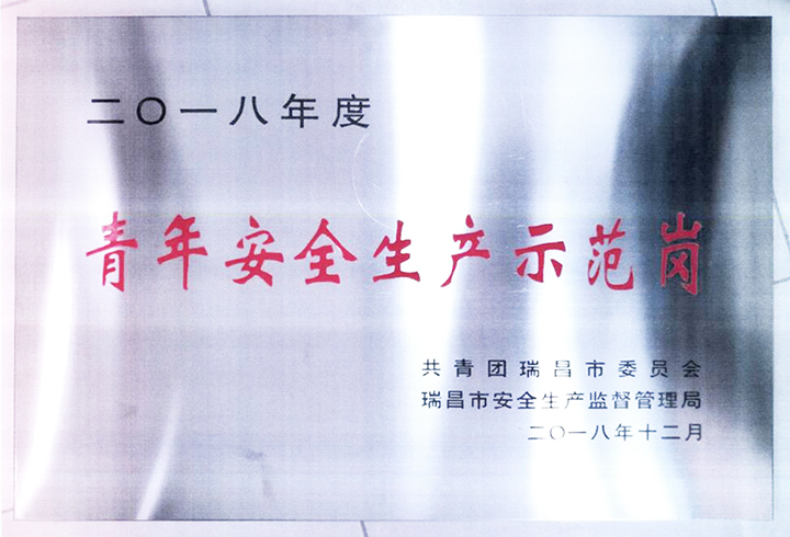 青年安全生產(chǎn)示范崗(江西亞?wèn)|) 青年安全生產(chǎn)示范崗(江西亞?wèn)|)