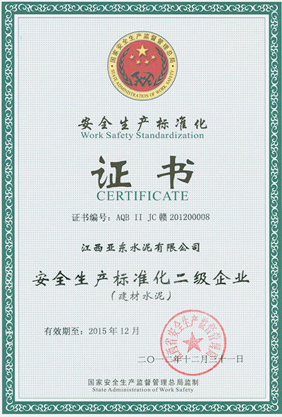 安全生產(chǎn)標準化二級企業(yè)（江西亞東）
