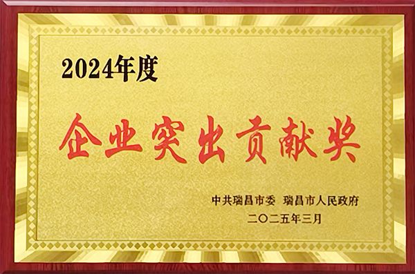 2025年3月10日，瑞昌市召開全市經(jīng)濟高質(zhì)量發(fā)展大會，表彰2024年度先進單位和個人，江西亞東獲頒“2024年度企業(yè)突出貢獻獎”。