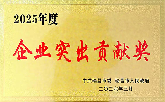 2026年3月13日，瑞昌市召開“全市高質(zhì)量發(fā)展暨優(yōu)化營商環(huán)境推進大會”，江西亞東獲頒